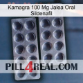 Kamagra 100 Mg Oral Jelly Sildenafil 31